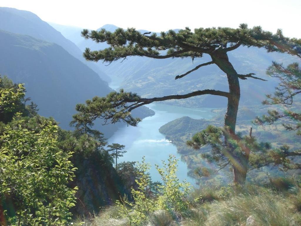 Prenociste I Restoran Ihthis Bajina Basta Exteriér fotografie